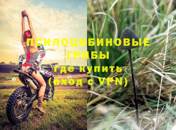 МДПВ Абинск
