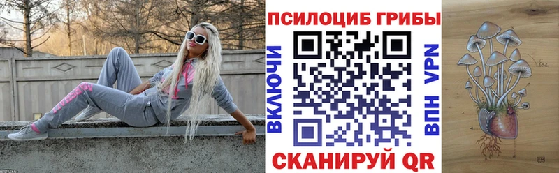 Псилоцибиновые грибы Psilocybe  магазин    Полтавская 